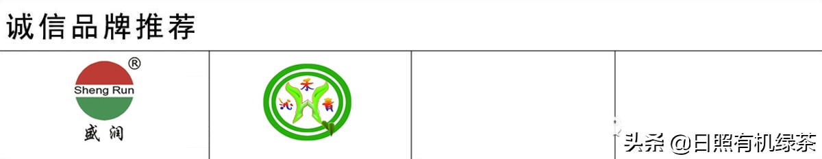 2021年日照绿茶春茶现状解读！这是高纬度茶的必然