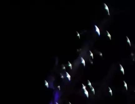 适马85mmf1.4art与蔡司55mmf1.8,适马501.4art与适马501.4