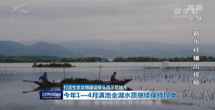 滇池昆明湖,昆明滇池的鱼现在怎么样了