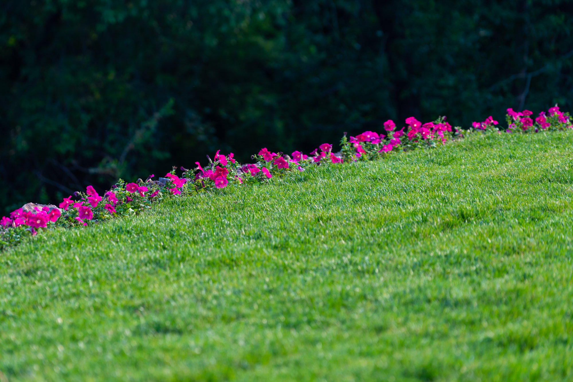 司马台长城的壮观雄奇+北方人的梦里水乡,都在这座京郊水镇了