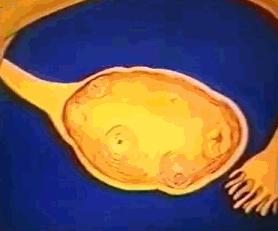 女性体内的神秘“暗线”:竟能支配月经