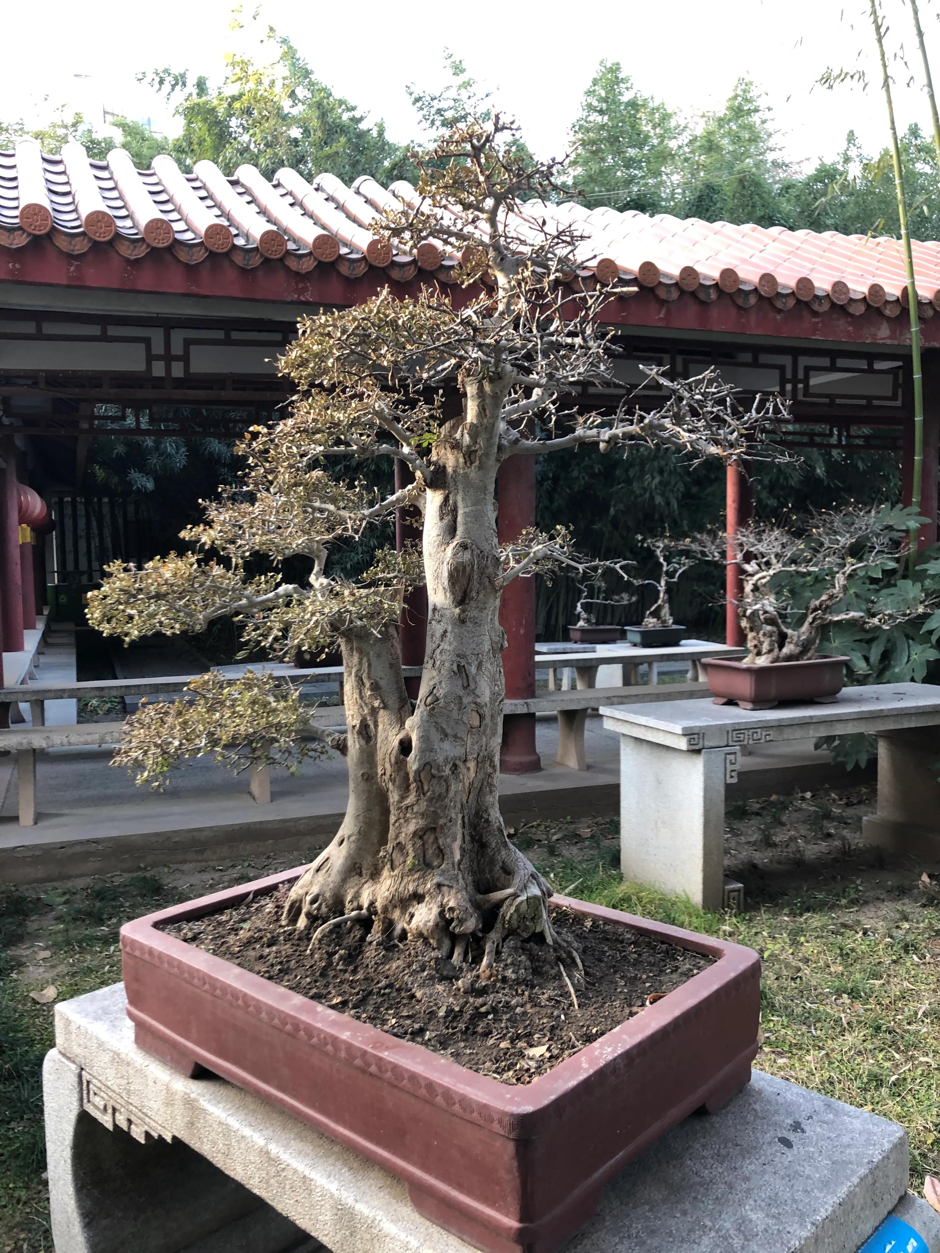 平顶山河滨公园旅游攻略,平顶山森林公园游记