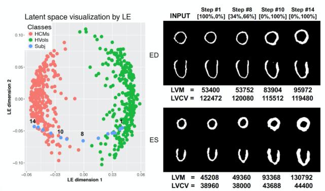 浅谈医学影像学习与实践,基于深度学习的医学影像研究思路