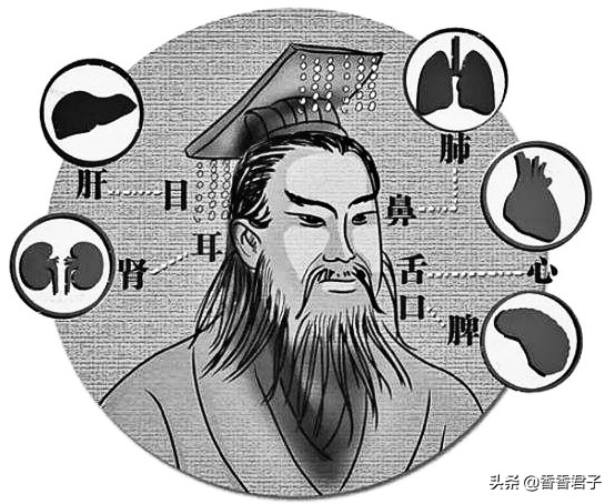 闻香真的有利于健康吗,闻香能治病吗