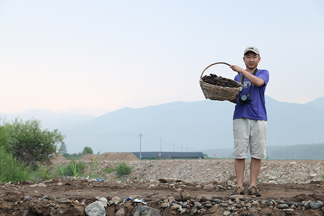 黑木耳培植的重点工作在哪里？3分钟让你掌握黑木耳的种植技术