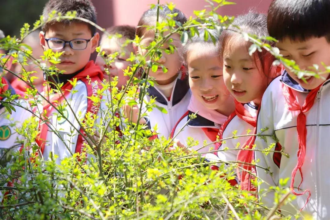 记录新时代感动瞬间,重温党的奋斗历程伟大成就