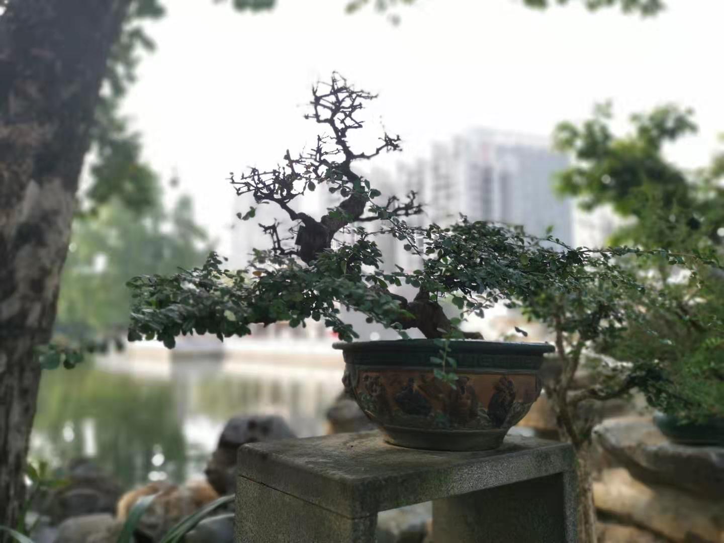 中国传统文化与院子,中国传统文化天井