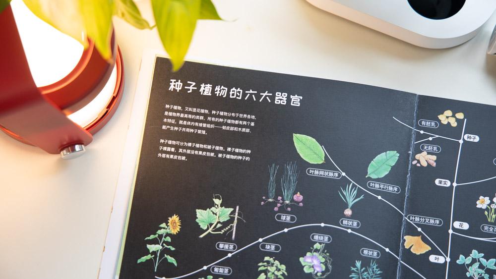 当当狸智能显微镜儿童便携式,当当狸智能显微镜测试