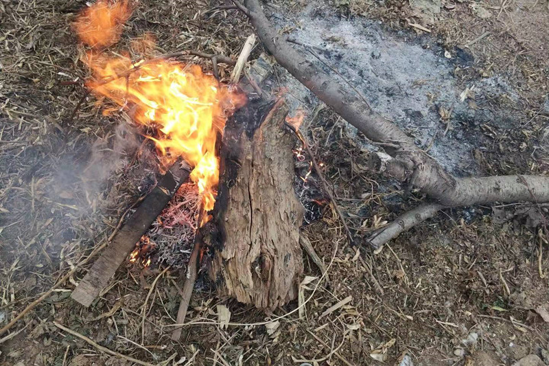 废木回收能做吗,废木回收后可以做什么原料