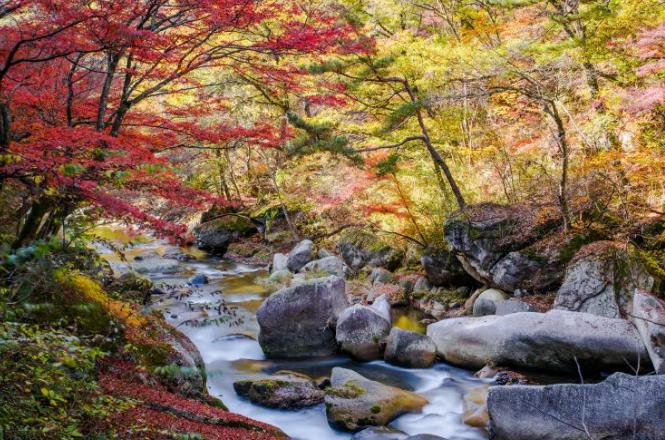 玩转日本,玩转日本自由行