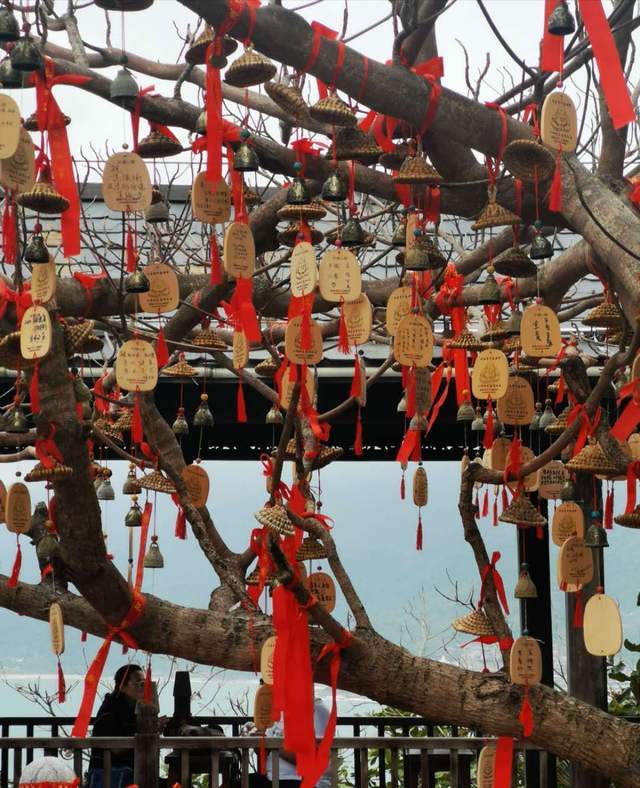 海南分界洲岛酒店,海南分界洲岛直播间