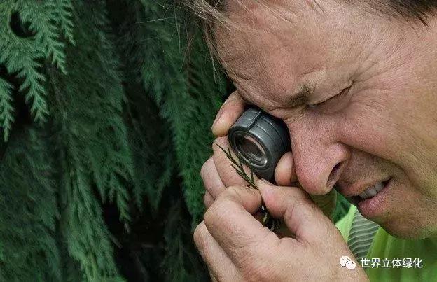 为什么园艺疗法能快速发展,园艺疗法的应用领域