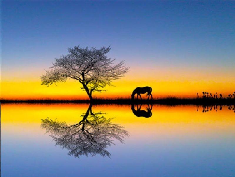 描写水的性格的词,描写水的声音的词