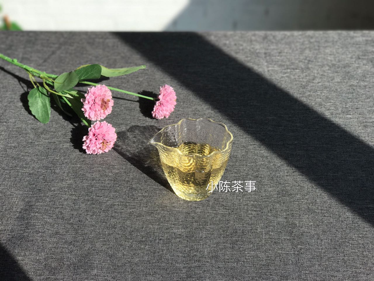 老白茶寿眉散茶好还是饼茶好喝,收藏白茶和收藏普洱的区别