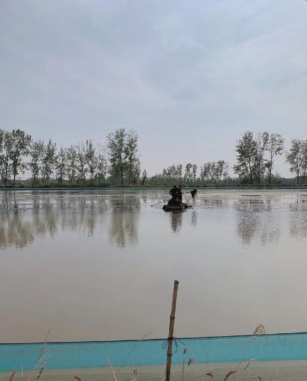 养好虾的正确方法,如何养好虾视频