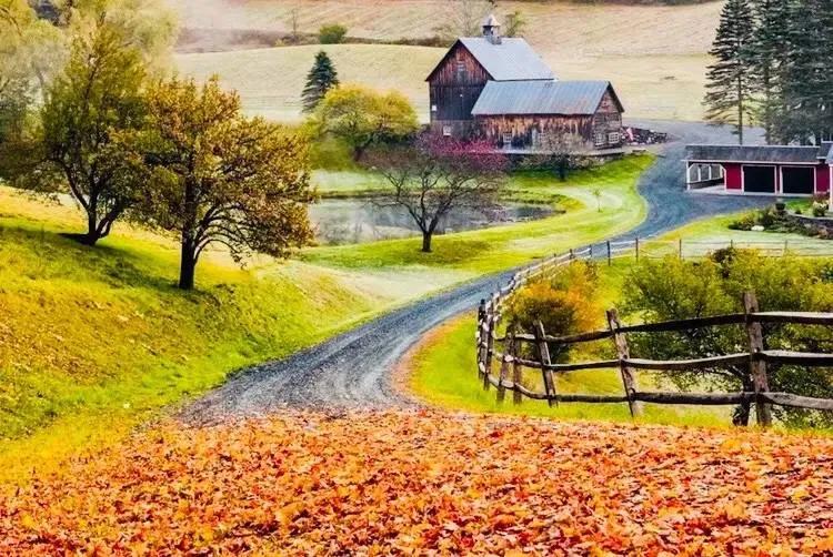 大学社会学专业的出路,社会学专业到底学什么