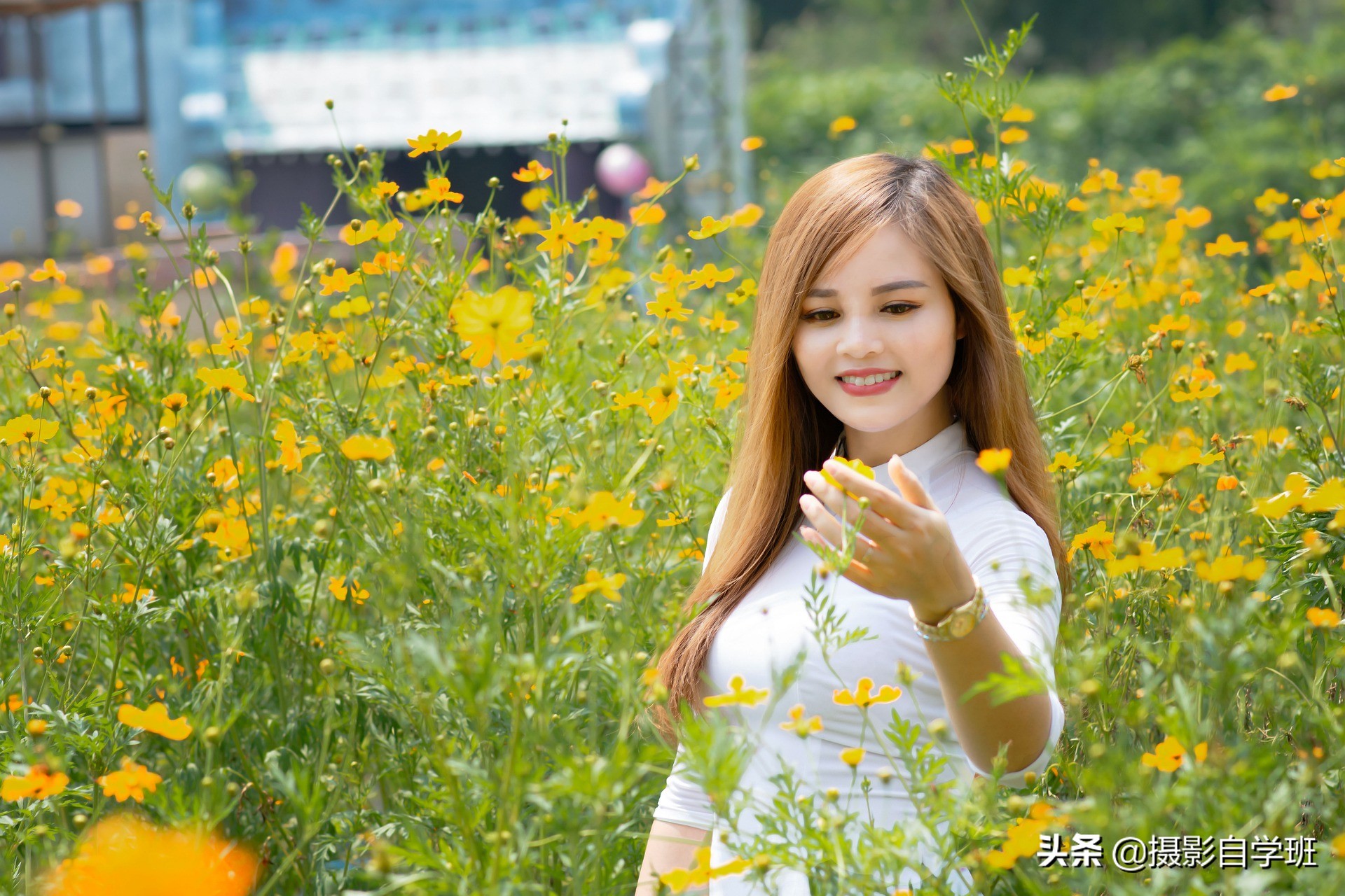 油菜花人像摄影技巧大全,老年人像摄影摆姿技巧大全