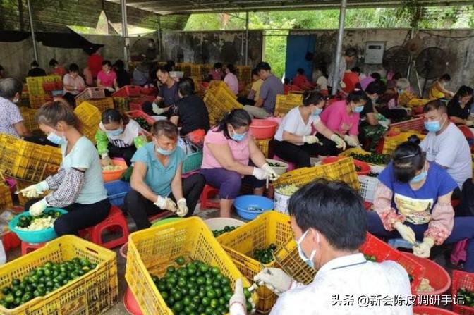 陈皮市场前景如何,新会陈皮市场