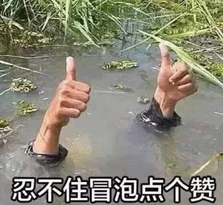 wildfieldhealth评测,wildfieldhealthcare