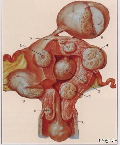 体检常见的六种病,体检常见的10种症状