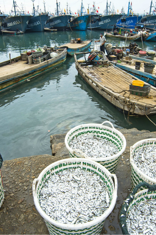 福建东山岛景点风动石,福建旅游景点推荐冬天东山岛