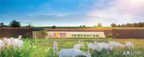 羊奶粉大降价一元试吃,羊奶粉美羚价格