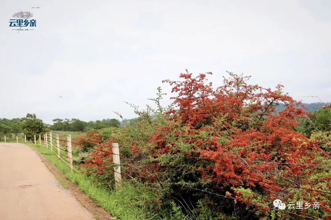 寻甸网红打卡地点,寻甸金所潘所网红打卡的地方