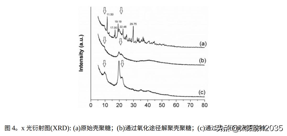 低分子壳寡糖溶于水吗,低密度壳聚糖