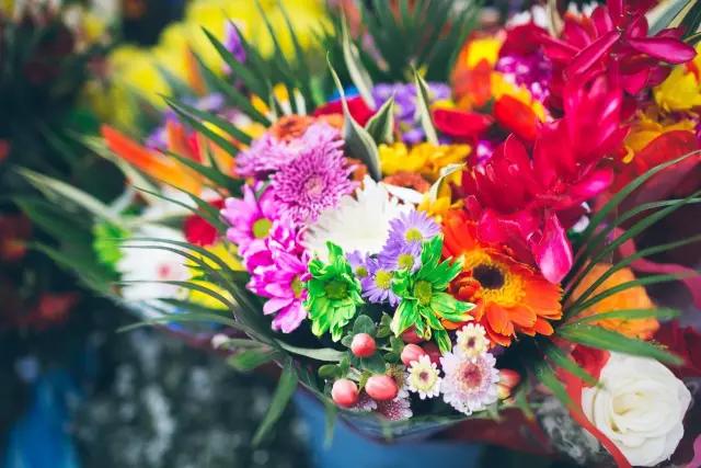 亚洲最大花市宛如仙境,中国最牛的花市