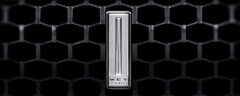 wey的vv5vv6vv7哪个好,wey的vv6怎么样