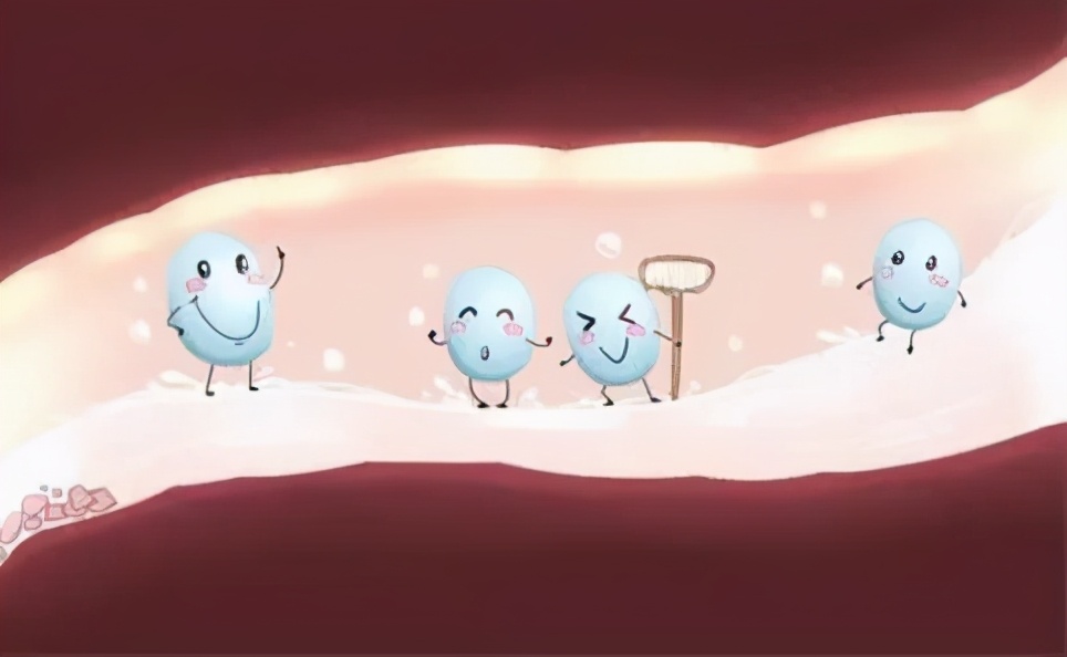 肠胃功能紊乱和胃病的关系,肠胃闹脾气