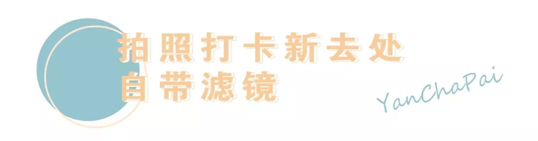 扒出藏在武汉各大高校的ins风奶茶店，还出了巨好喝的杨枝甘露