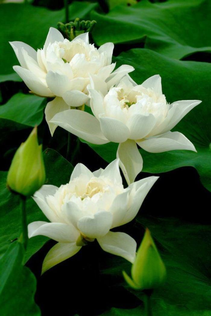 励志人生感悟正能量句子经典,正能量励志激情经典语录