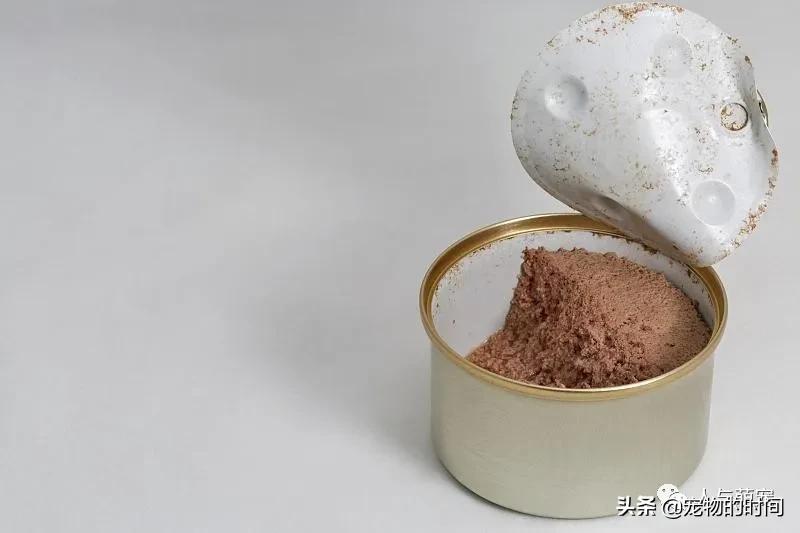 新手养猫一个月要花费多少钱,养猫最低一个月需要花多少钱