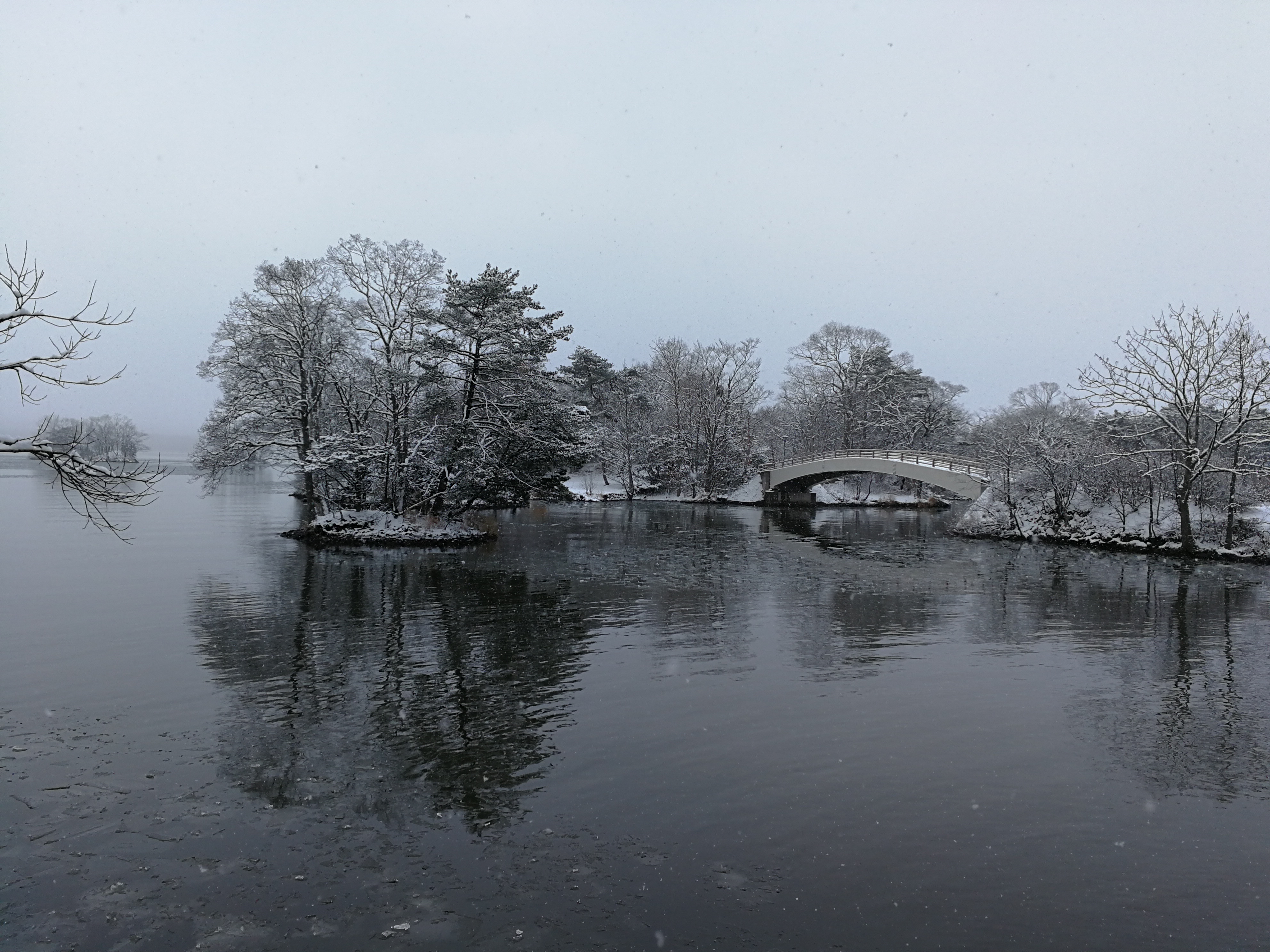 妈妈欠了好多信用卡无力偿还,妈妈贷款还不上子女有偿还责任吗