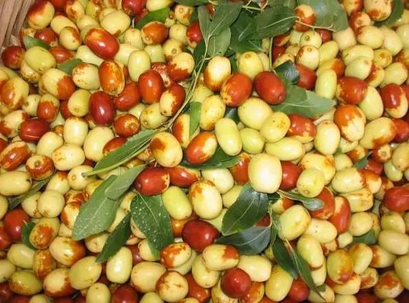 这个涪江干流上人口最多的县,是如何没落的?