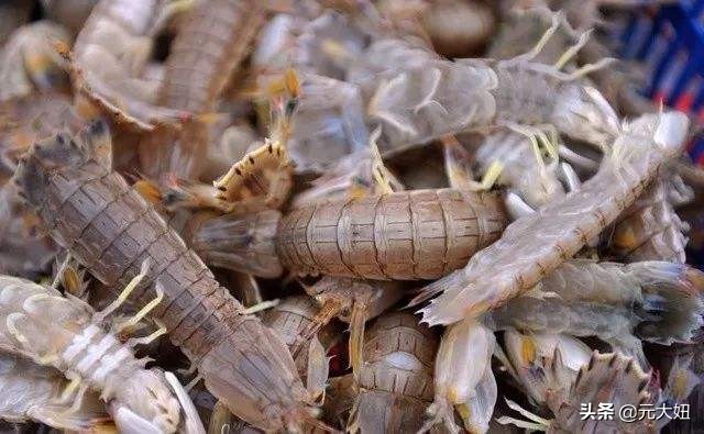 不要错过海鲜季节表,一年四季海鲜时间表