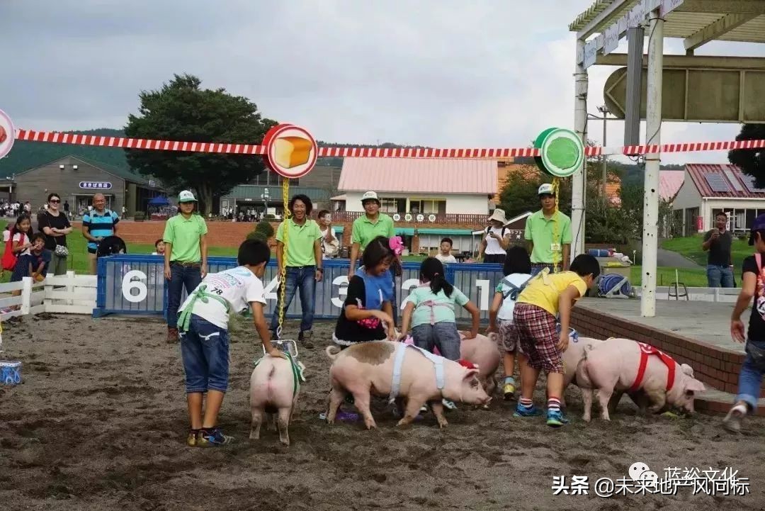 母亲牧场要玩多久,低成本花园家庭农场亲子乐园