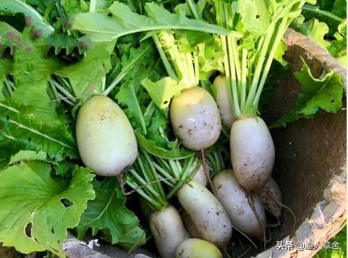 中国地理标志农产品品牌有标识吗,全国农产品地理标志排名