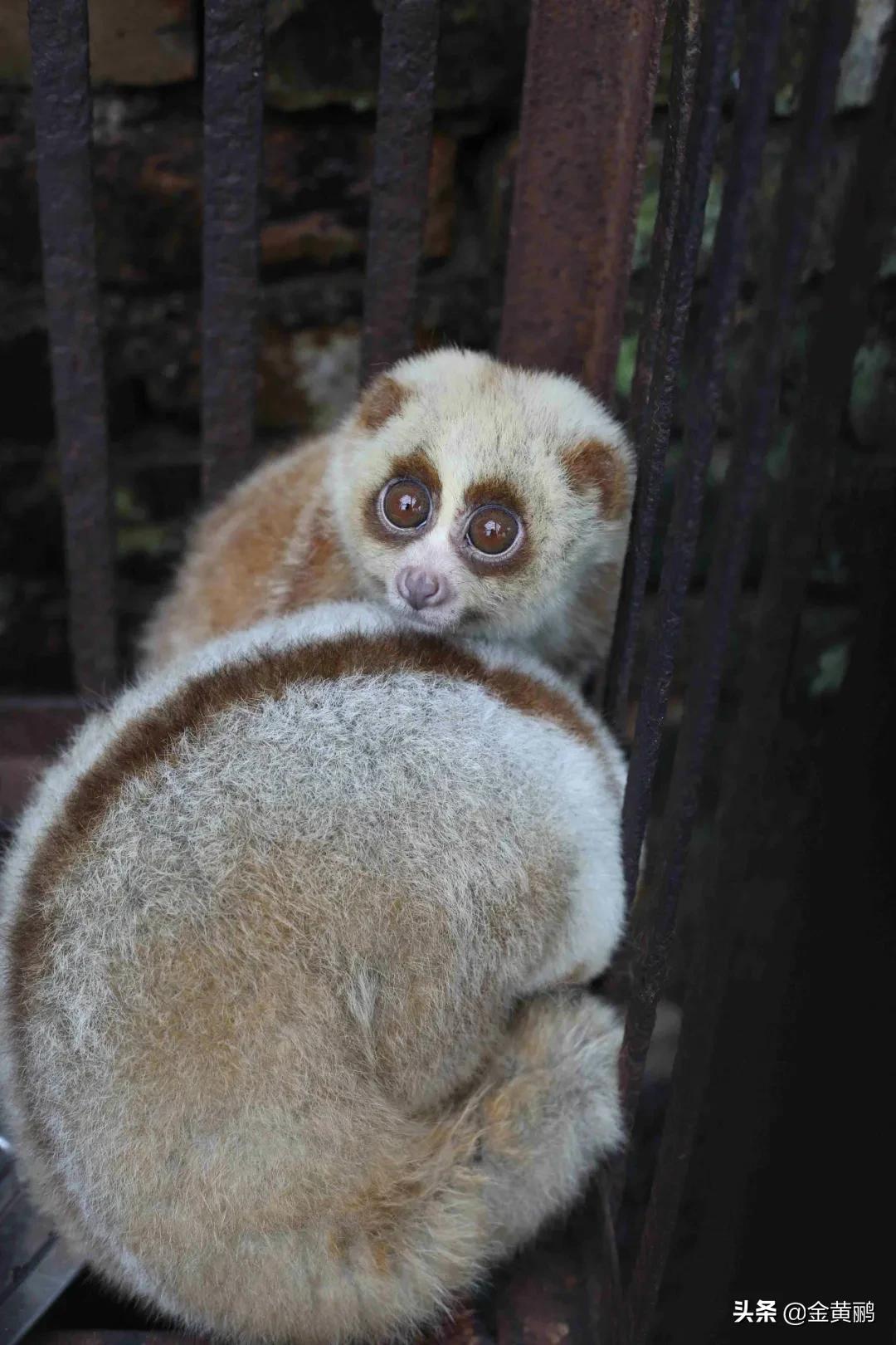 为什么云南女人长相好看,云南真的很漂亮吗