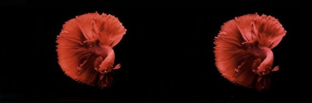 lgvs索尼,lg和索尼oled电视哪个比较好