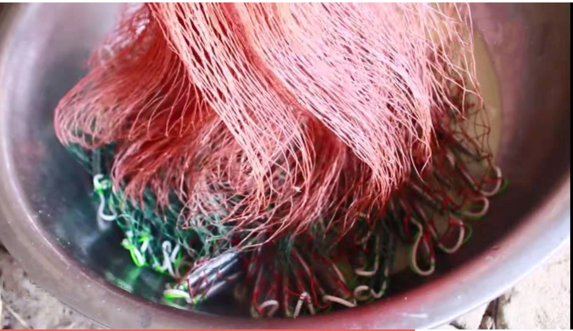 撒网上桐油的方法介绍,撒网上桐油的正确方法