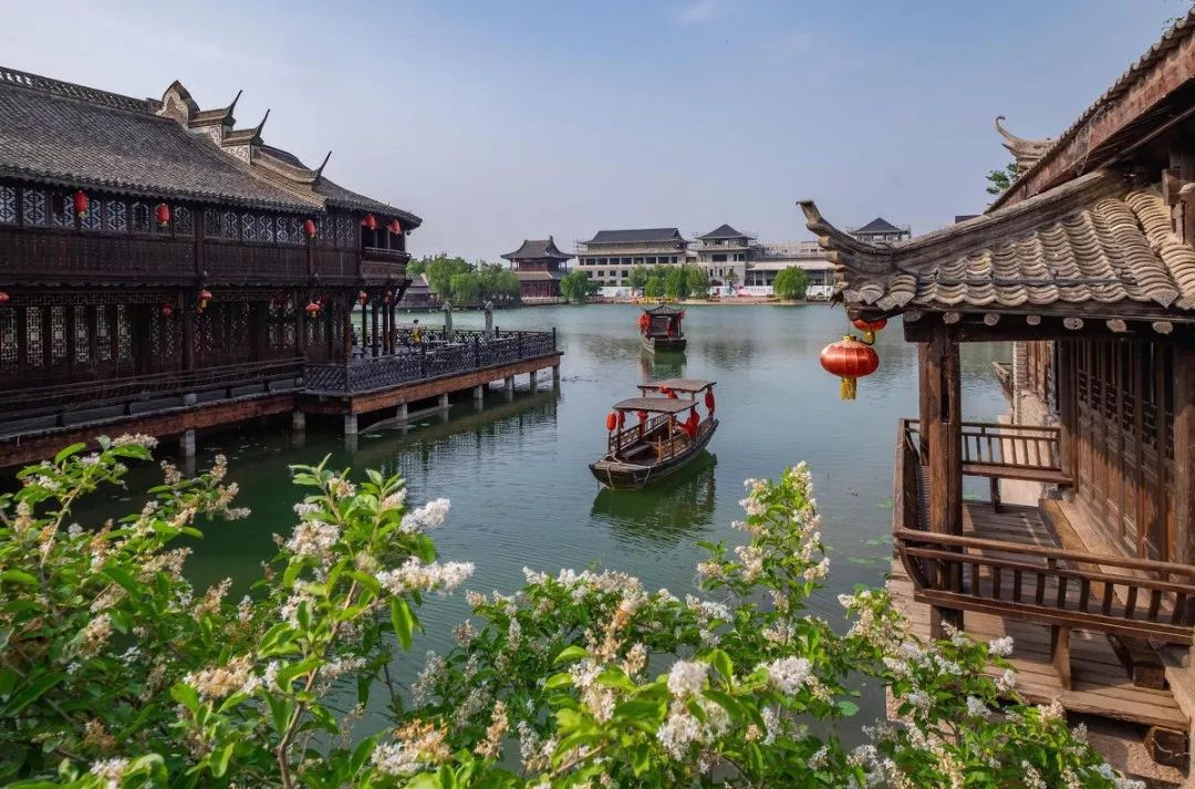 老家河南抖音,老家河南央视宣传片