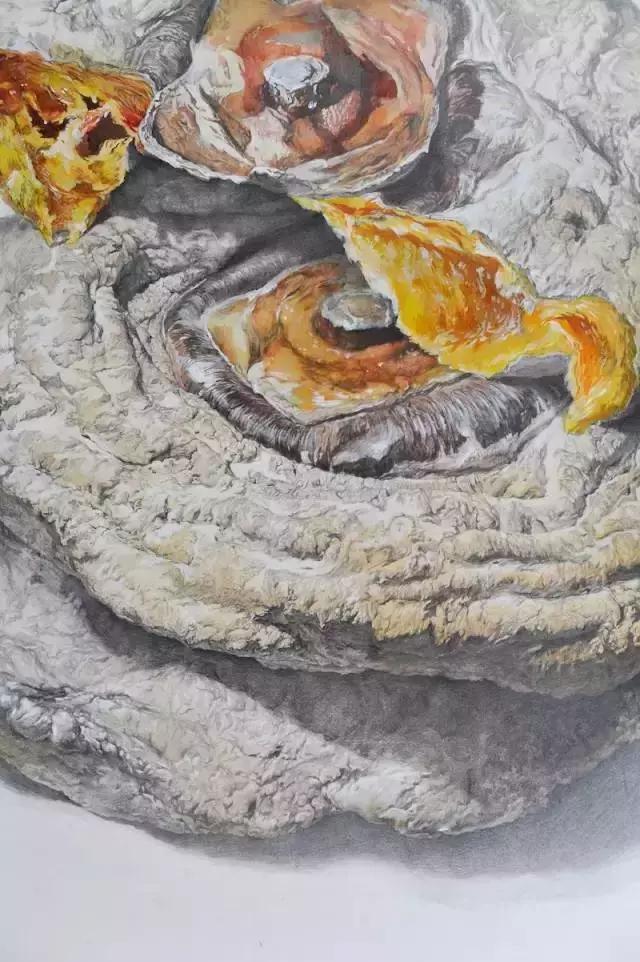 央美精微素描作画过程,央美精微素描17级