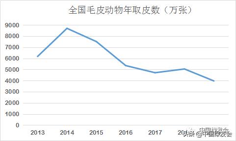 来稿刊发|华小夏:十年后再论*胆熊**行业