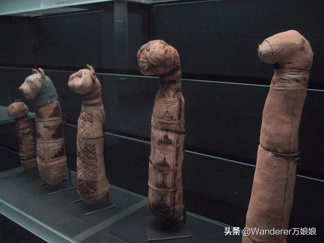 这个国家不会讲自己的母语,疯狂热爱养猫,猫死还要守孝你知道吗