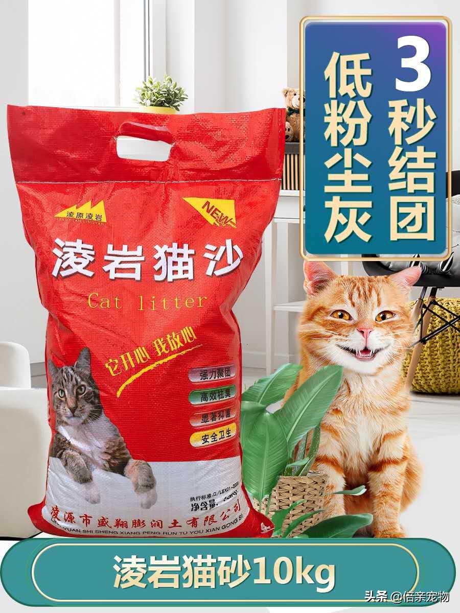 怎么选猫砂和猫砂盆,选猫砂推荐