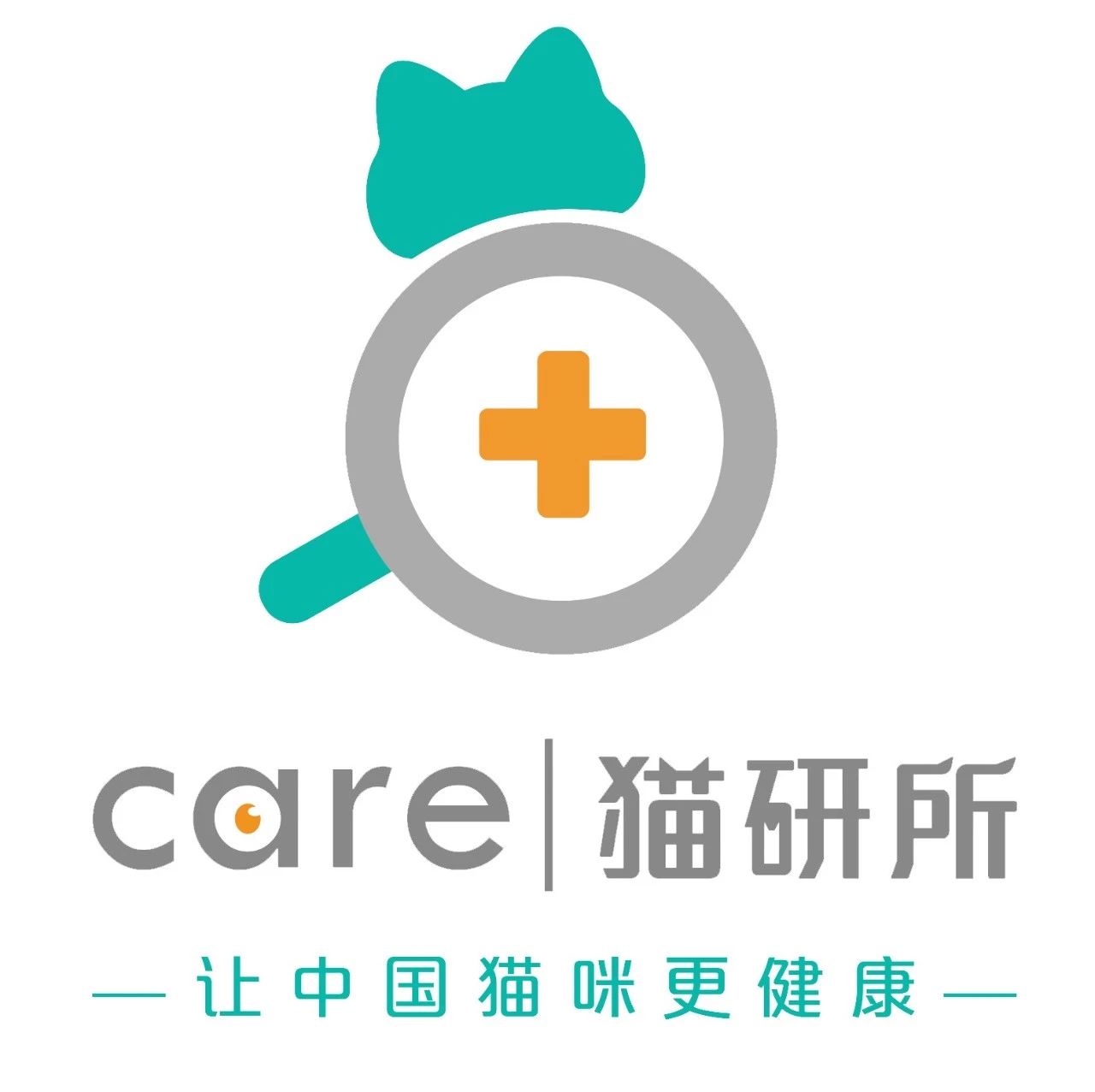 只需一个容器,你就能收获一滩“液体猫”