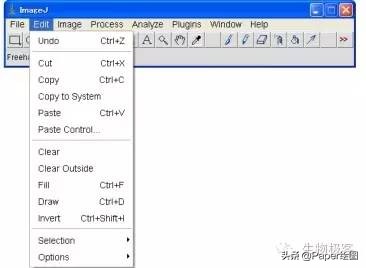 黄色和绿色如何用imagej分析,imagej图像分析教程