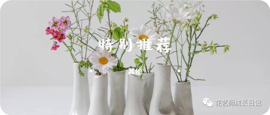 开业季特辑|一片金灿灿,开业造势招财大麦花礼